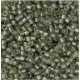 Miyuki Delica Perlen 11/0 - Fancy lined streak DB-2378